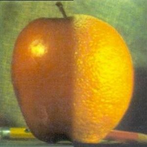 apple orange laplacian blend